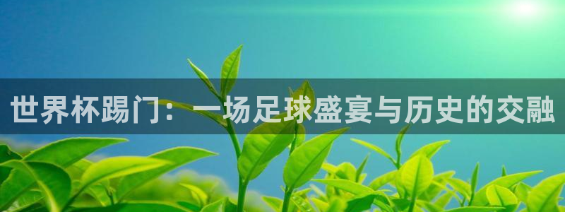 今年世界杯：世界杯踢门：一场足球盛宴与历史的交融