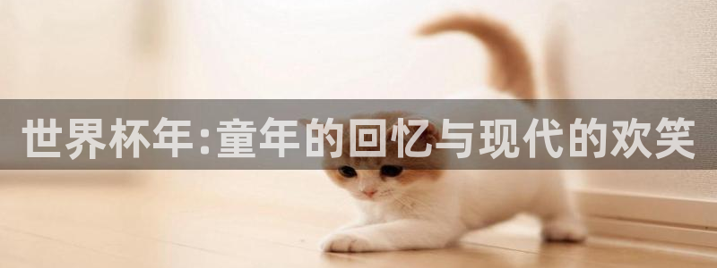 足球世界杯赛程：世界杯年:童年的回忆与现代的欢笑