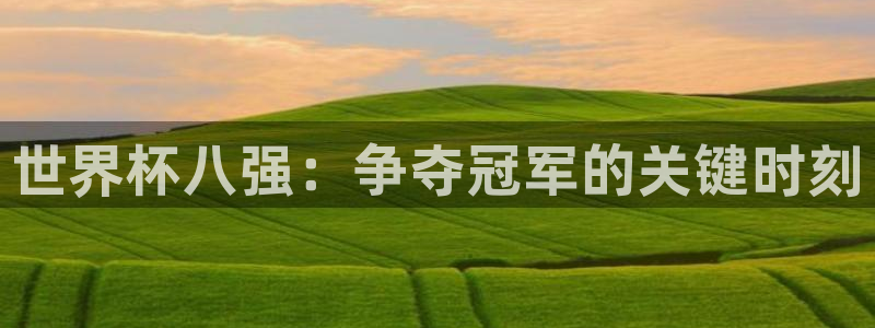 欧洲区世界杯预选赛：世界杯八强：争夺冠军的关键时刻
