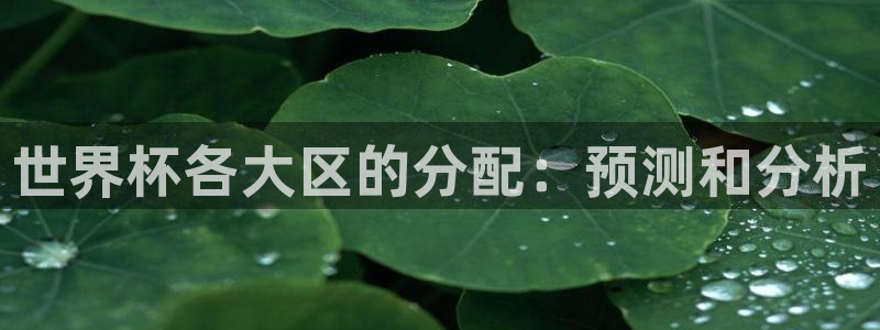 欧洲世界杯预选赛：世界杯各大区的分配：预测和分析
