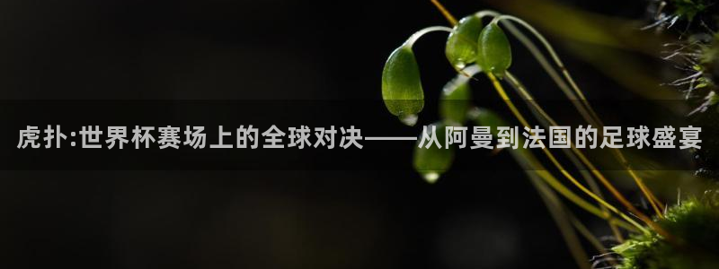世界杯直播：虎扑:世界杯赛场上的全球对决——从阿曼到法国的足球盛宴