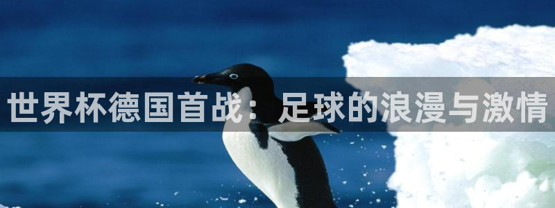 世界杯葡萄牙赛程：世界杯德国首战：足球的浪漫与激情