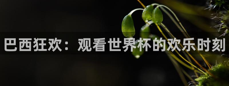 法国杯2026赛程表：巴西狂欢：观看世界杯的欢乐时刻