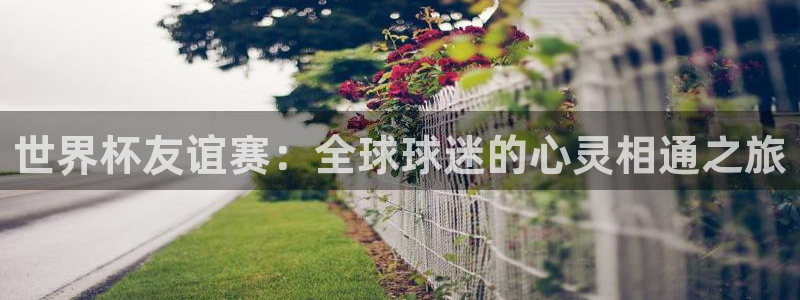 世界杯小组赛赛程：世界杯友谊赛：全球球迷的心灵相通之旅