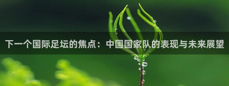 2026足球世界杯：下一个国际足坛的焦点：中国国家队的表现与未来展望