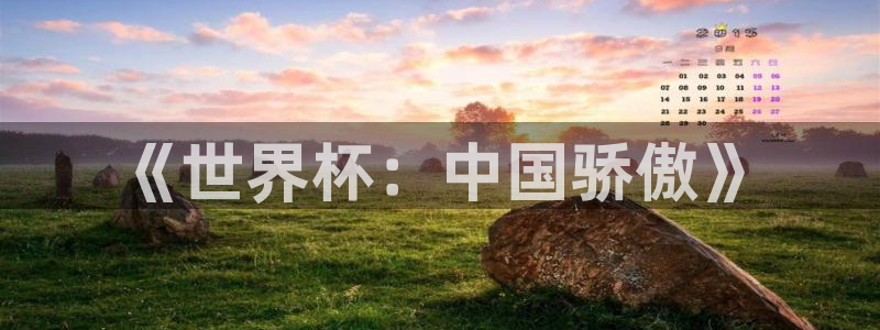 世界杯欧洲预选赛赛程：《世界杯：中国骄傲》