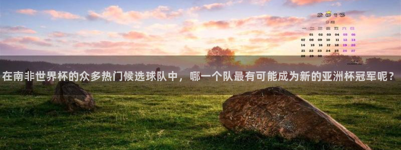 世界杯预选赛2026：在南非世界杯的众多热门候选球队中，哪一个队最有可能成为新的亚洲杯冠军呢？