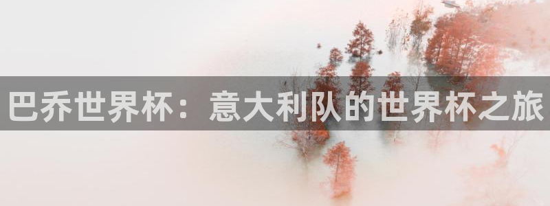 世界杯女足直播：巴乔世界杯：意大利队的世界杯之旅