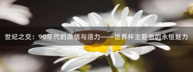 世界杯预选赛欧洲：世纪之交：90年代的激情与活力——世界杯主题曲的永恒魅力