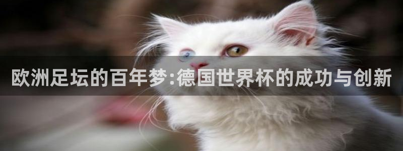 世界杯2026赛程时间表格：欧洲足坛的百年梦:德国世界杯的成功与创新